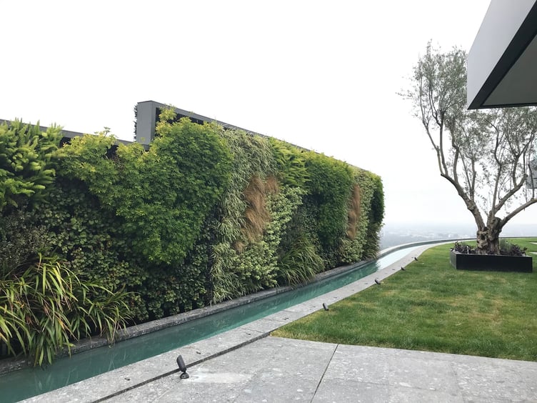 Growup-living-greenwall-system